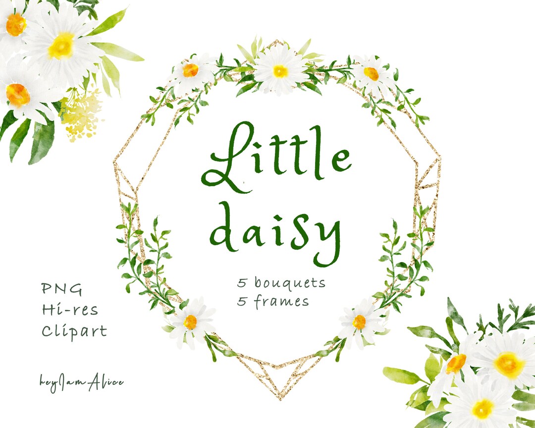 DAISY Floral Watercolor Clipart FREE Commercial Use Greenery - Etsy