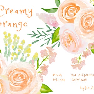 Creamy orange watercolor clipart,free commercial use,greenery clipart, wedding DIY, commercial use graphic, commercial border, png digital