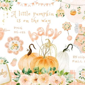 Clipart per la scuola materna della zucca per bambini, grafica di benvenuto per il bambino, clipart per baby shower PNG, una piccola zucca è in arrivo, invito per uso commerciale gratuito PNG