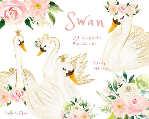 Swan clipart PNG, watercolor swan, FREE COMMERCIAL use, nursery clipart, ballet swan, princess swan, pink flower clipart png, baby shower