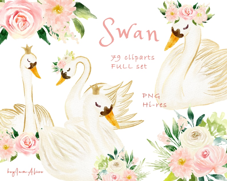 May include: Watercolor illustration of three white swans with gold accents. The swans are surrounded by pink and white flowers. The text "Swan" is written in cursive above the swans. The text "79 clipart FULL set" is written below the swans. The text "PNG Hi-res" is written below the flowers.