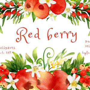 Watercolor red berry Clipart, wild red berry ClipArt png, FREE COMMERCIAL use, fruit clipart png, wild berry decor, red berry graphic png