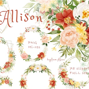 Clipart floreale acquerello rosso giallo, floreale vintage, uso commerciale GRATUITO, rosa png, clipart fiore giallo, grafica margherita girasole