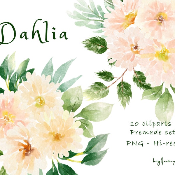 Dahlia flower clipart, dahlia watercolor PNG, FREE COMMERCIAL use, peach cream floral png, wedding clipart, nursery clipart, digital graphic