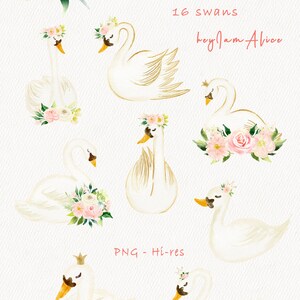 May include: A set of 16 watercolor illustrations of white swans with floral crowns and pink flowers. The text "Swan" and "16 swans" is written in pink. The text "hey! I am Alice" is written in pink. The text "PNG - Hi-res" is written in black.