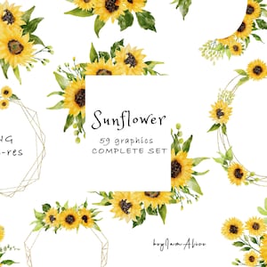 ENSEMBLE COMPLET Tournesol clipart aquarelle, utilisation commerciale gratuite, clipart de verdure, graphique de tournesol jaune, bordure commerciale, png numérique