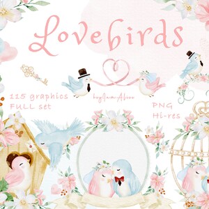 Imágenes prediseñadas de pájaros de amor PNG, imágenes prediseñadas de acuarela de San Valentín PNG, PNG gráfico de pareja, imágenes prediseñadas románticas de amor, diseño de sublimación png, imágenes prediseñadas de boda