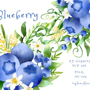 Watercolor Blueberry Clipart, wild blueberry ClipArt png, FREE COMMERCIAL use PNG, fruit clipart, blueberry decor, purple berry graphic png
