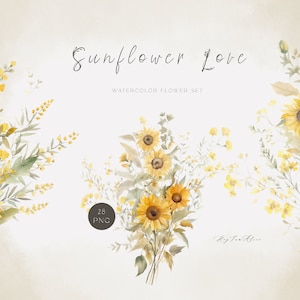 DAISY girasole Clipart floreale ad acquerello, grafica girasole PNG, fiore margherita, clipart camomilla, grafica margherita girasole, sublimazione PNG