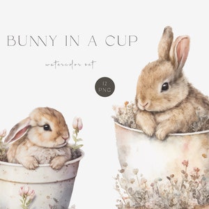 Baby Hase Clipart, rosa Aquarell Hase, Sublimation png, Waldtier Clipart, Kinderzimmer Kunst, Hase in einer Tasse png, Osterhasen Grafiken