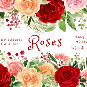RODE roos bloem aquarel clipart, roos bloemen PNG, gratis commercieel gebruik, bruiloft bloemen clipart, bloem kwekerij clipart, roze koraalrozen