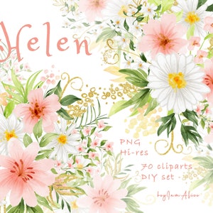 DAISY Floral watercolor clipart, white pink floral, FREE commercial use, daisy frame, chamomile flower clipart, sunflower coral pink graphic