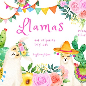Imágenes prediseñadas de acuarela de llama, imágenes prediseñadas de alpaca, uso COMERCIAL GRATUITO, imágenes prediseñadas de cactus, llama PNG, imágenes prediseñadas boho, imágenes prediseñadas de animales png, descarga instantánea