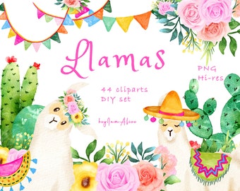 Clipart aquarelle de Lama, alpaga clipart, utilisation COMMERCIALE GRATUITE, cactus clipart, Lama PNG, boho clipart, png clipart animal, téléchargement immédiat