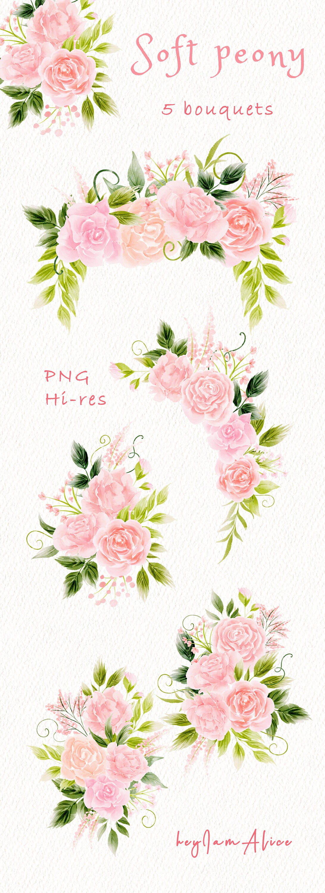 Pink Peony Flower Watercolor Clipart Soft Pink Floral PNG - Etsy
