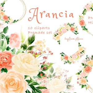 Romige oranje bloem aquarel clipart, gratis commercieel gebruik, groen clipart, bruiloft clipart, oranje bloemen PNG, kinderkamer bloemen afbeelding