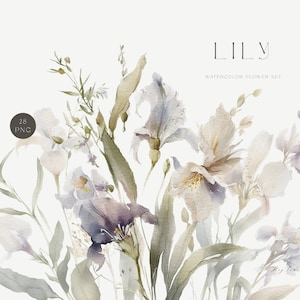 Zachte bloei lelie bloem aquarel clipart, gloed neutrale elegante bloemen, bloemenuitnodiging, bloemboeket, bruiloft PNG, sublimatie ontwerp
