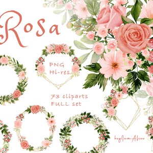 RED rose flower watercolor clipart, rose floral PNG, sublimation design, wedding floral clipart, flower nursery clipart, pink coral roses