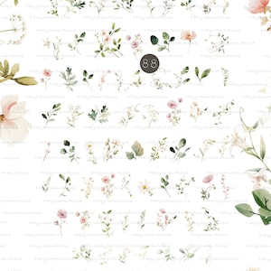 May include: A digital sheet of 88 watercolor illustrations of spring garden elements. The illustrations include flowers, leaves, and vines in shades of pink, white, and green. The text "Spring Garden elements" and the number "88" are visible in the image.