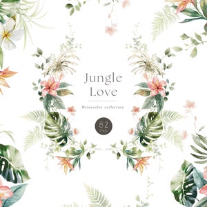 Imágenes prediseñadas de acuarela tropical, floral tropical suave y elegante, gráfico de flores exóticas, monstera, palma, PNG tropical moderno, PNG de vegetación floral