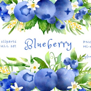 Watercolor Blueberry Clipart, wild blueberry ClipArt png, FREE COMMERCIAL use PNG, fruit clipart, blueberry decor, purple berry graphic png
