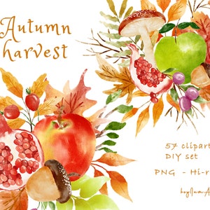 Aquarelle automne Clipart, clipart automne, utilisation COMMERCIALE GRATUITE, champignon PNG, clipart pomme, clipart grenade, congé d’automne, cadre automne