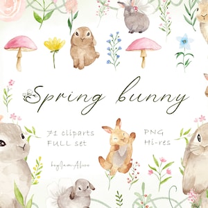 Baby Hase Clipart, Aquarell Hase PNG, Frühling Hase, Hase Ostern Clipart, Kinderzimmer Kunst, Baby Mädchen Clipart png, Osterhase, Sublimation