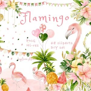 Imágenes prediseñadas de acuarela de flamenco tropical, PNG de flamenco rosa, PNG gráfico de fiesta de verano, cocotero, imágenes prediseñadas de piña, flor de hoja tropical