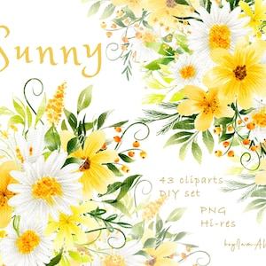 DAISY Bloemen aquarel clipart, wit gele bloemen, GRATIS commercieel gebruik, madeliefjeframe, kamille bloem clipart, zonnebloem madeliefje afbeelding
