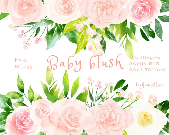 Pink Blush Floral Watercolor Clipart Free Commercial Use Etsy