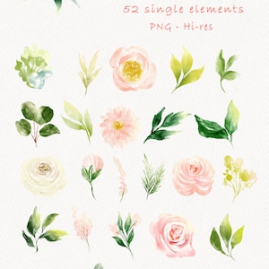 May include: A set of 52 watercolor illustrations of pink and white flowers and green leaves. The illustrations are labeled "Swan 52 single elements PNG - Hi-res" and "keylam Alice".