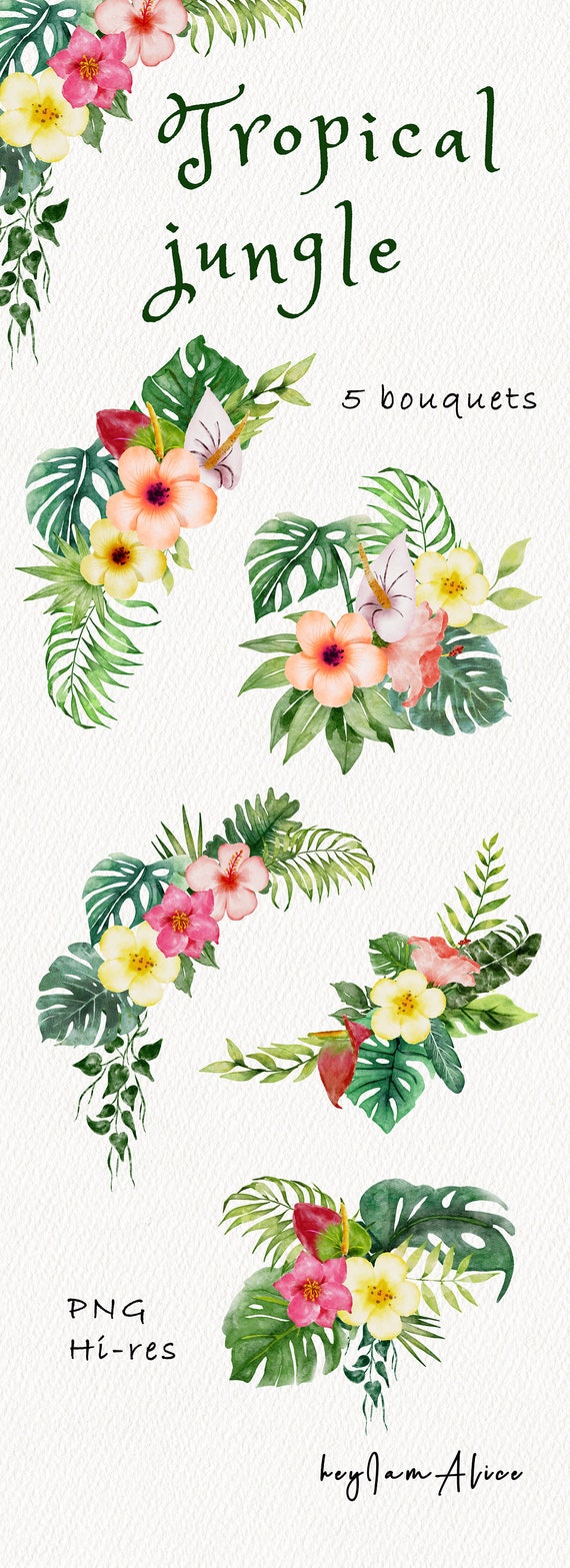 Imágenes prediseñadas de acuarela de flores de la selva tropical, uso  comercial gratuito, licencia de palma tropical, gráfico de uso comercial,  imágenes prediseñadas de verano, png digital - Etsy México, image size:570x1567