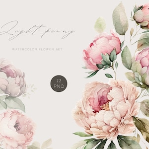 Rosa Pfingstrose Blumen Aquarell Clipart, zart rosa zart PNG, florale Einladung, Blumenstrauß, Hochzeit Clipart, Sublimation Design