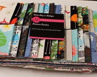 Puede incluir: Una pila de recortes de tela con varios estampados coloridos que presentan búhos, pájaros y otros diseños. Los recortes de tela están unidos con una cinta negra y una tarjeta de visita que dice "Fabric Shop in Michigan" y "Marianne Donahue".