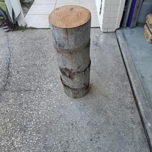 May include: A close-up of a brown and gray palm tree trunk cut into a cylinder shape. The trunk is stacked on top of itself, creating a short, sturdy pillar.