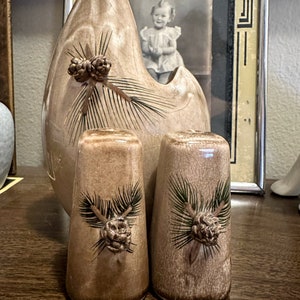 May include: A set of two ceramic salt and pepper shakers with a brown glaze and pine cone designs. The shakers are shaped like small, squat vases.