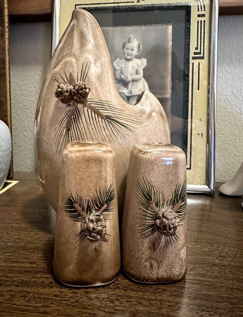 May include: A set of two ceramic salt and pepper shakers with a brown glaze and pine cone designs. The shakers are shaped like small, squat vases.