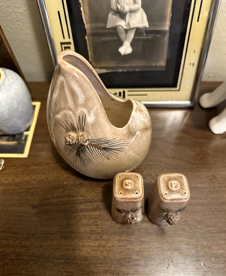 May include: A set of ceramic salt and pepper shakers with a pine cone design. The shakers are brown and white with a glossy finish. The salt shaker has an "S" on the top and the pepper shaker has a "P" on the top.