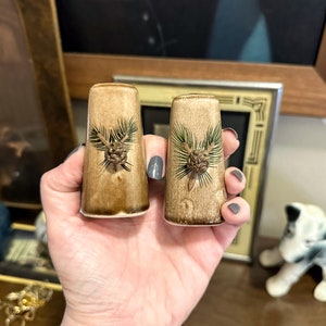 May include: A pair of ceramic salt and pepper shakers with a brown and green pine cone design.