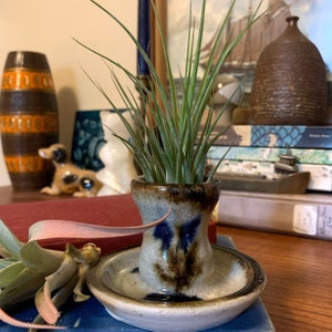 May include: A small air plant in a brown and blue ceramic pot with a decorative saucer. The pot has a unique design with a brown and blue glaze.
