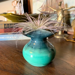 May include: A small, teal and blue ceramic vase with a ruffled top, holding a light pink and green air plant.