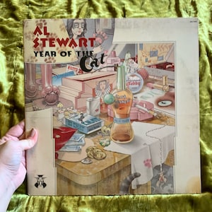 Vintage vinyl record album 1976 Year of the Cat Rod Stewart