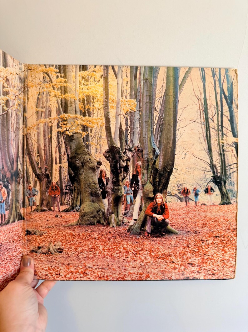 May include: An album cover featuring a group of people in a forest setting. The ground is covered in fallen leaves, and the trees have golden-yellow foliage. Several people are standing and sitting among the trees.