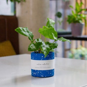 Jesmonite Planter / Pen Pot