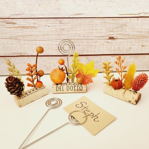 May include: Three fall-themed place card holders made from cork with small faux pumpkins, leaves, and berries. The place cards are labeled "Stehph", "Viazza Del Dotto", and "St. Supery".
