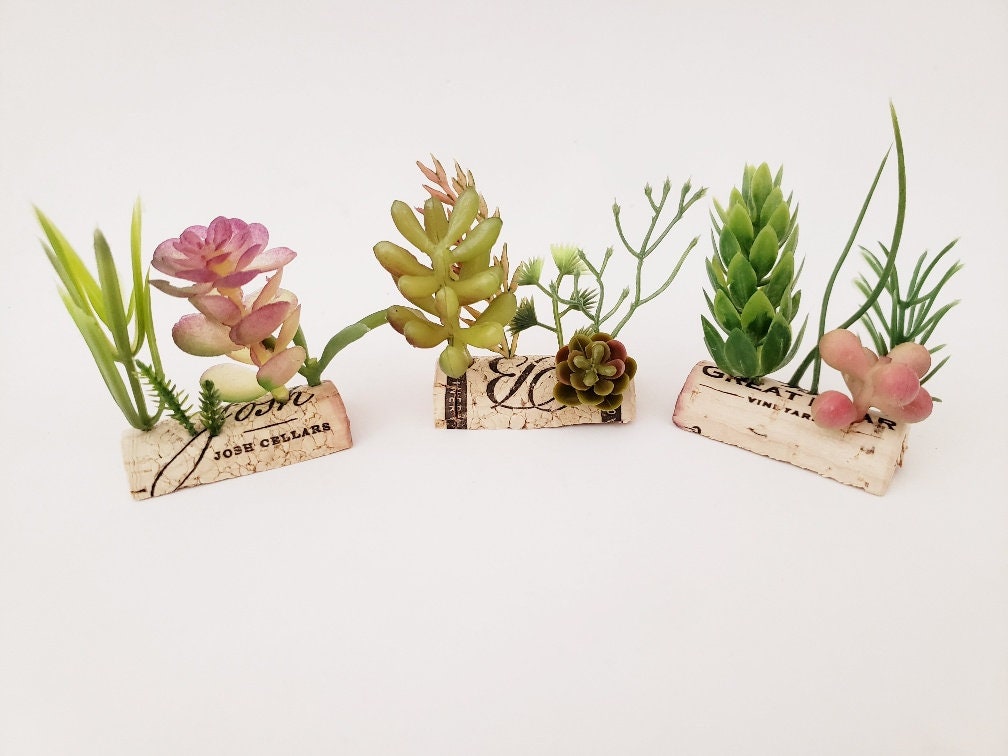 Faux Succulents for Tiered Trays, Set of 3 Wine Cork Fake Plants for Shelf, Desk, Kitchen, Bathroom, Cute Fun Gift for Plant and Wine Lovers