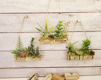 Wine Cork Wall Hanging with Faux Succulent Plants, Set of 3, Boho Plant Decor Great for Small Apartments, Studios, College Dorm Rooms
