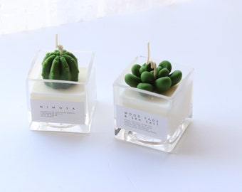 Succulent Candle/Cactus Candle/Deco Candle/house warming gif/Candle gift set/home decor/Jo Malone candle/terrarium candle/mother's day gift