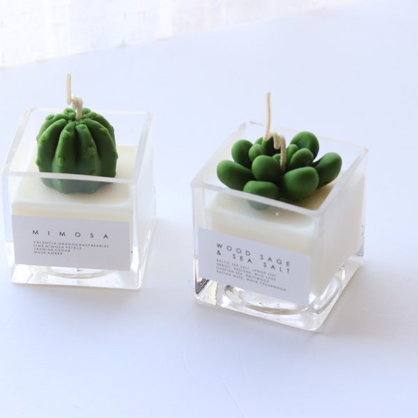 Succulent Candle/Cactus Candle/Deco Candle/house warming gif/Candle gift set/home decor/Jo Malone candle/terrarium candle/mother's day gift