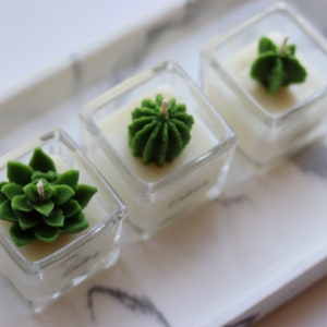 Mini square Succulent Candle /cactus candle/ Wedding favor candle/Custom candle/mini soy candle/Bridal shower/gift candle/birthday candle